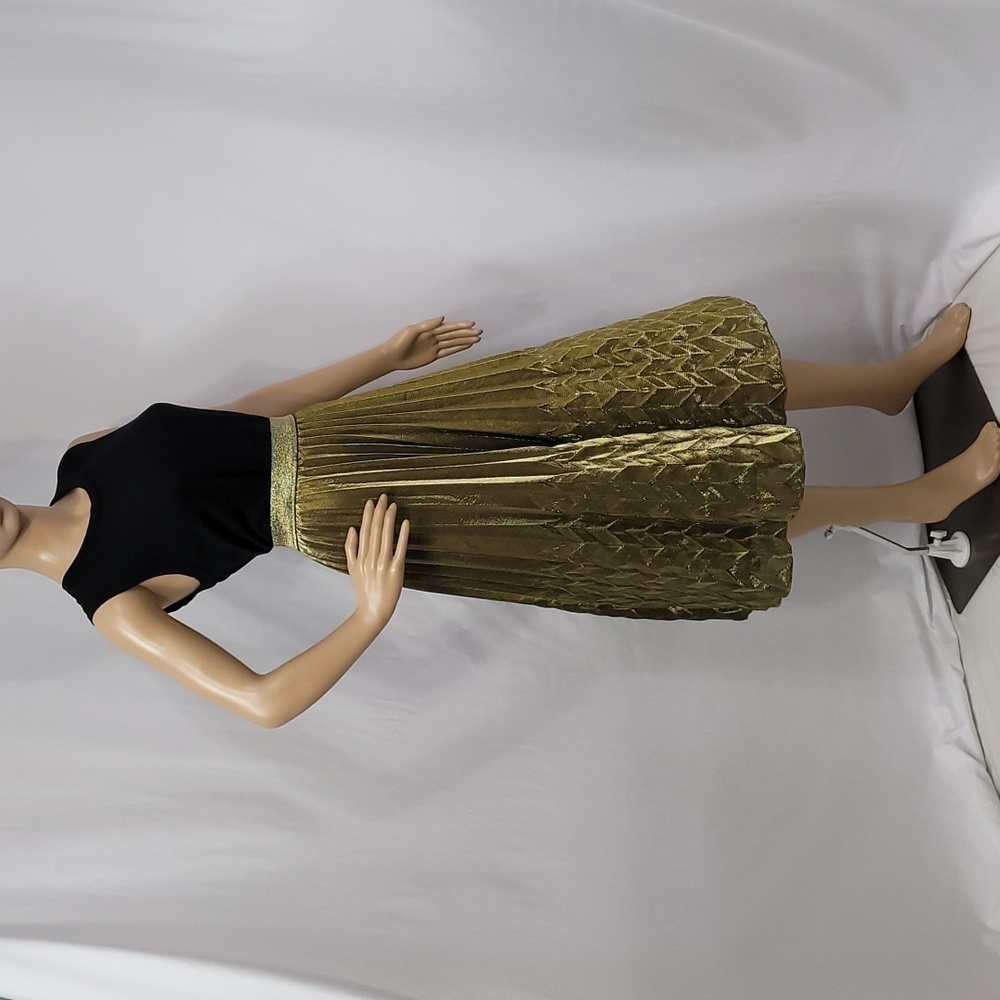 Wd.ny Plus Pleated Midi Skirt - Picture 6 of 8